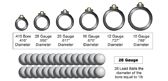 Understanding Shotgun Shells: Types, Sizes, and Applications.