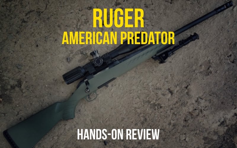 ruger american predator 308 review