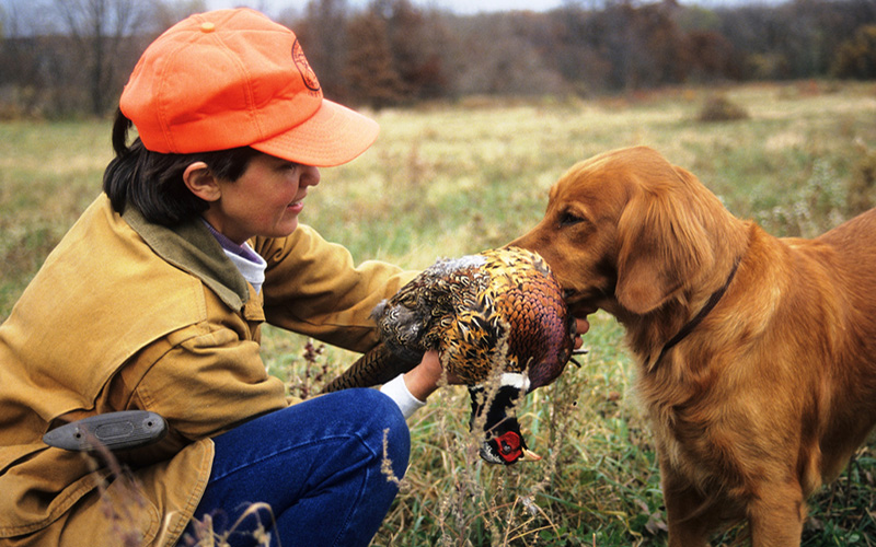 pheasant-gear-4