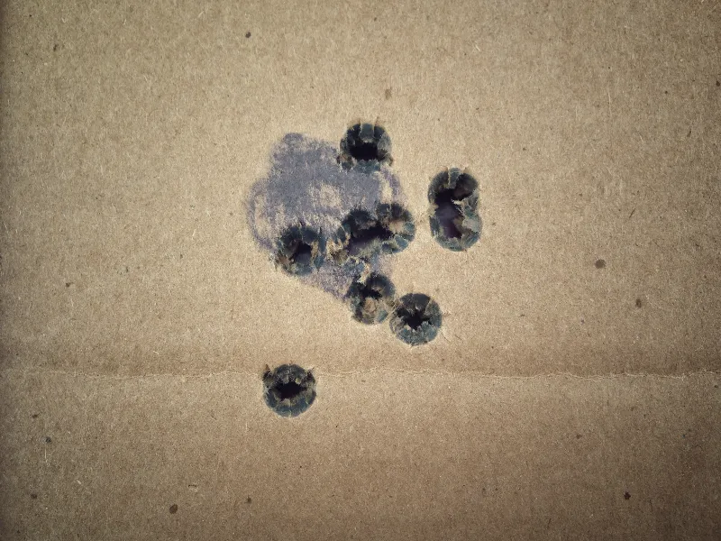 match ammo