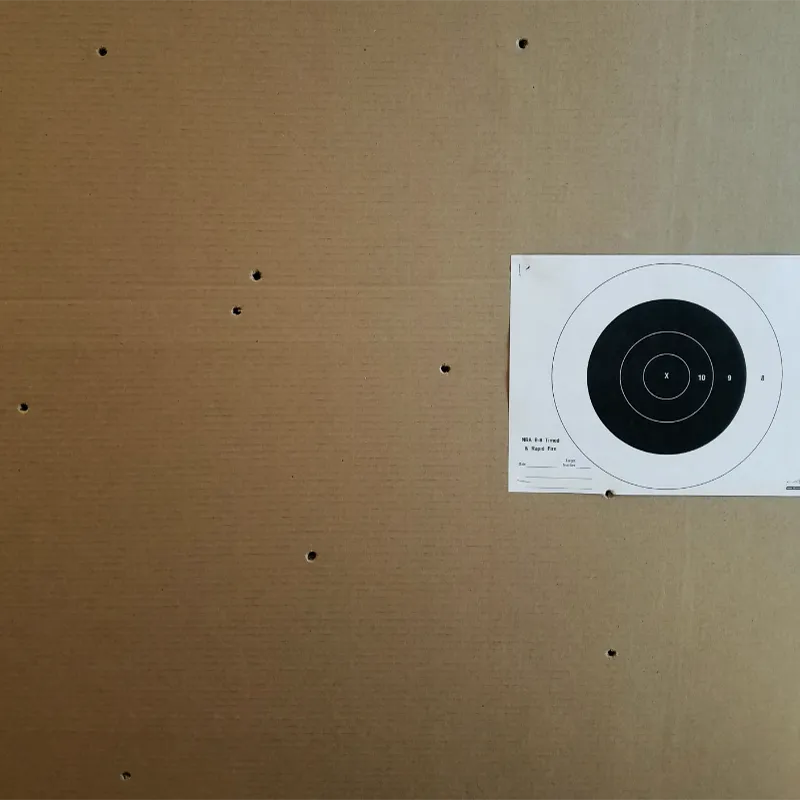 match ammo accuracy test