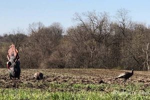 GHG Jekyll & Hyde Decoy by Avery Outdoors Review