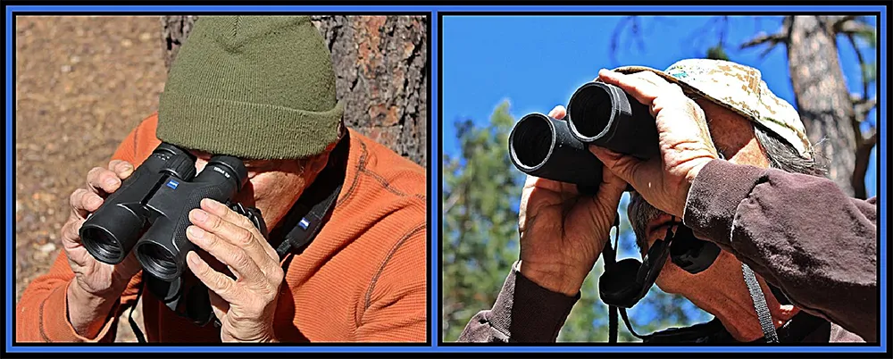 Zeiss Terra ED 10x42 Binocular