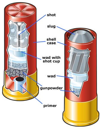 ammo_shotshell