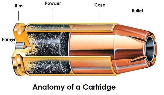 anatomy of bullets