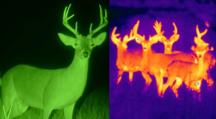Night Vision vs. Thermal Imaging