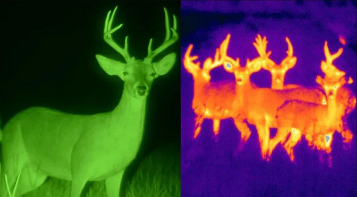 What's The Difference between Thermal Imaging and Night Vision?