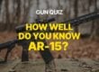 ar15 gun quiz