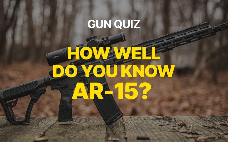 ar15 gun quiz