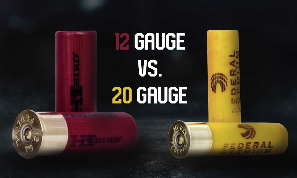 12 gauge vs 20 gauge shotshells