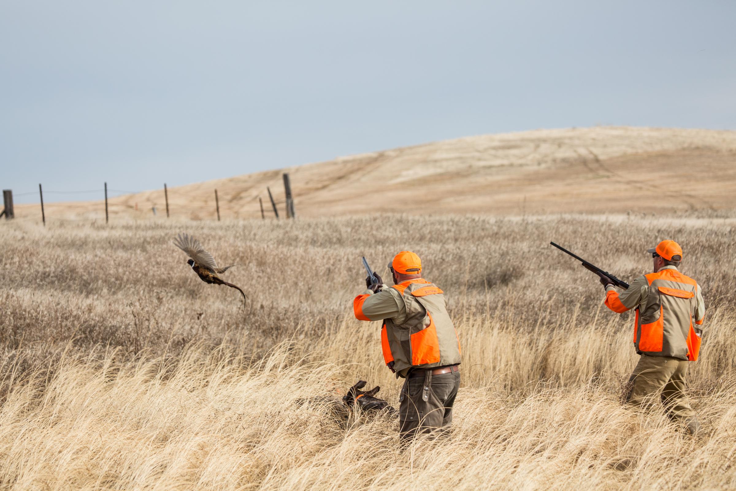 12ga vs 20ga for upland hunting