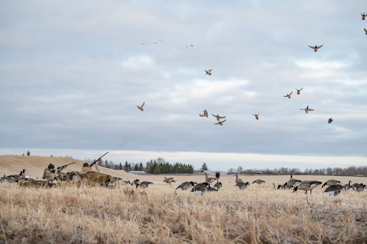 12ga vs 20ga for waterfowl hunting