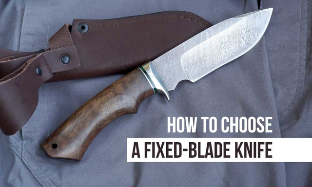 A Complete Guide to Choosing Fixed-Blade Knives