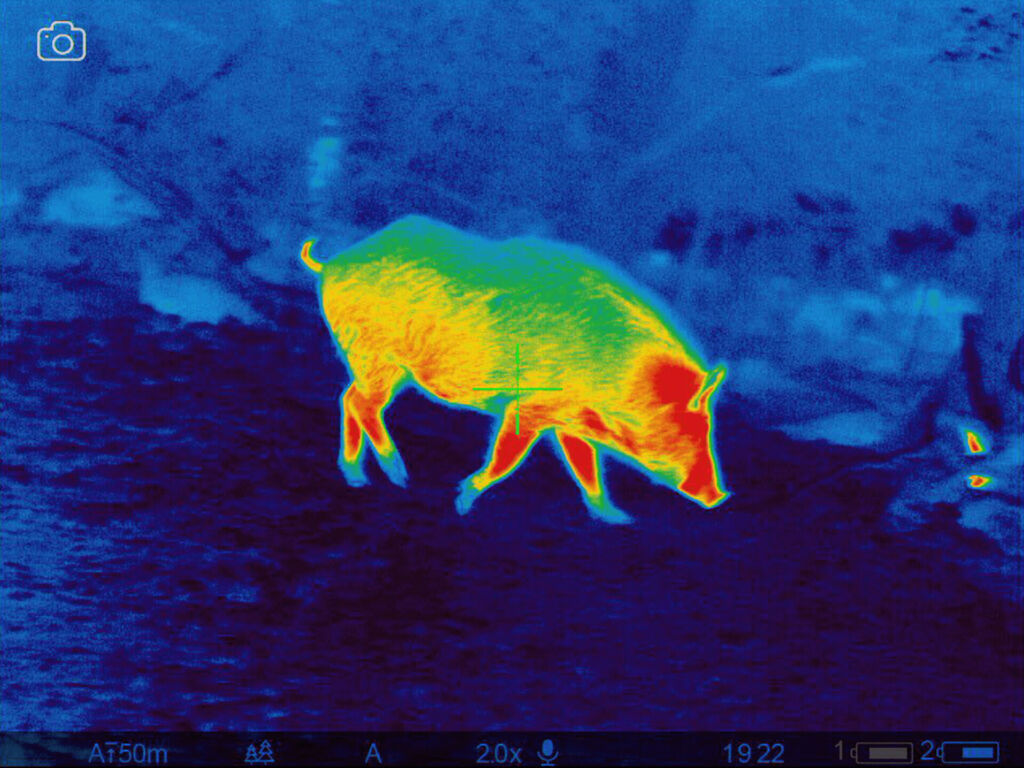 night vision and thermal imaging for hunting