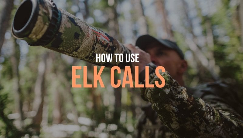 Mastering the Art of Using Game Calls: Part 2 – Elk Calls