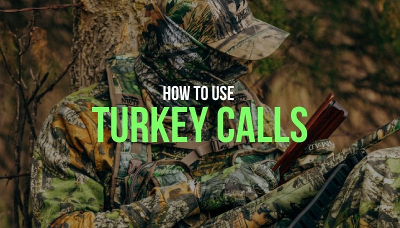 Mastering the Art of Using Game Calls: Part 3 – Turkey Calls