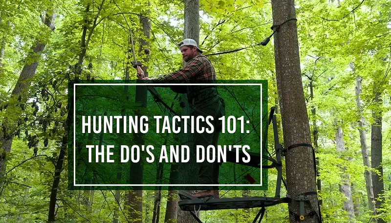 hunting tactics