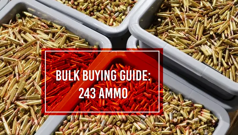 243 ammo bulk