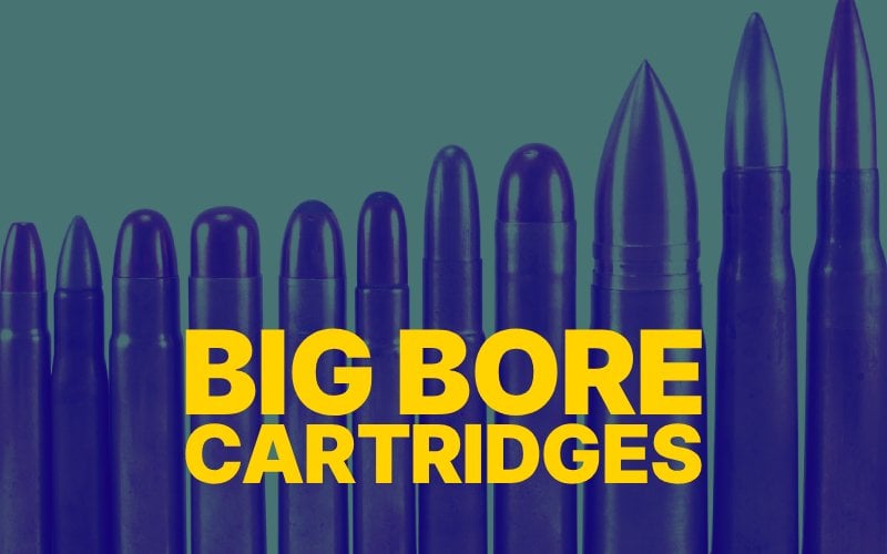 big bore cartridges: the overview if the biggest bullets