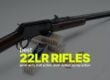 best 22 long rifle guns
