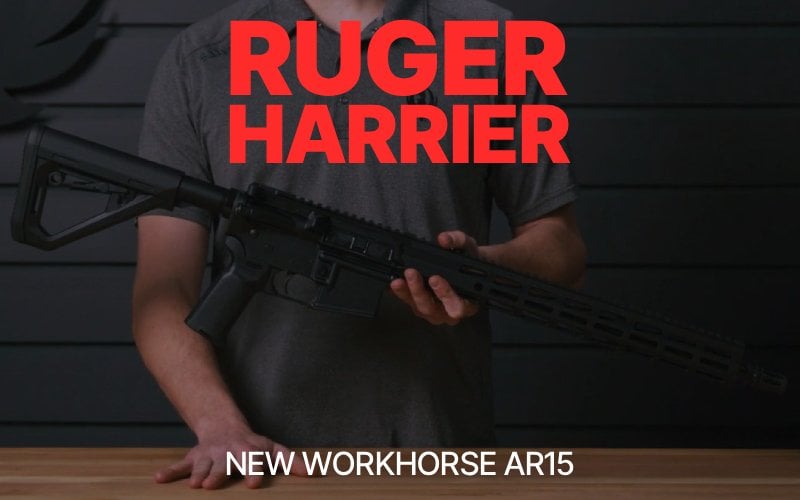new ruger harrier ar15 rifle